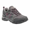 Regatta Womens/Ladies Holcombe IEP Low Hiking Boots (Steel/Vivacious)